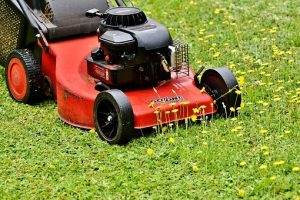 Health and Safety Tips for Ground Maintenance Workers